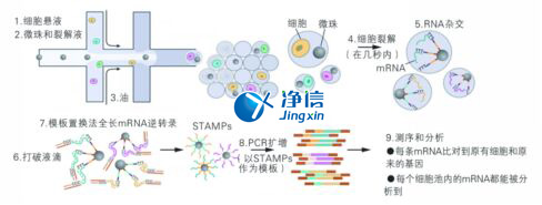 中國(guó)人自己的單細(xì)胞測(cè)序儀來了！